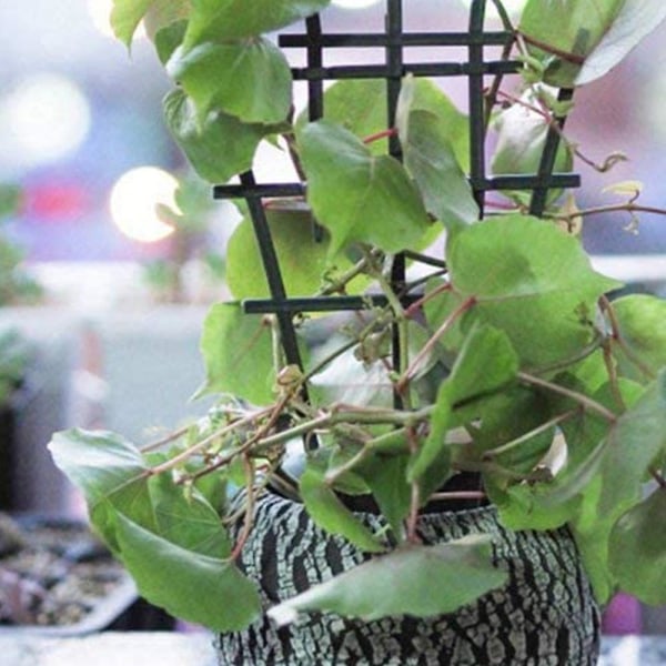 Krukväxtstöd, Spaljé för Inomhusväxter, Mini Växtstöd DIY Trädgårdsväxtstöd, överlappningsbar, Klätterspaljé Blomstöd för Krukväxter 6pcs