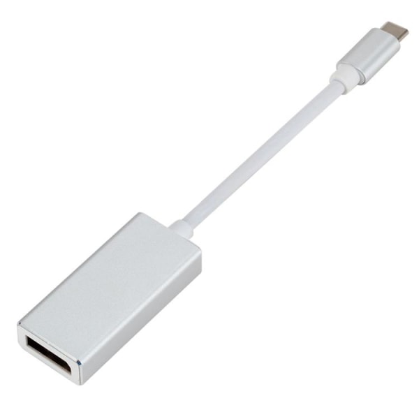 Adapter USB-C till DisplayPort - Silver Silver