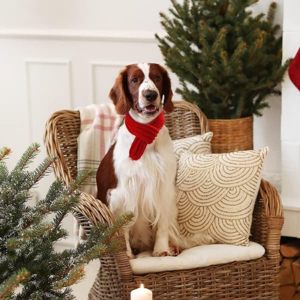 Julehalstørklæde til hund kat - Med hvid pompon - 70cm - Julehalstørklæde til hund - Julehalstørklæde til kat - Julehalstørklæde til kæledyr