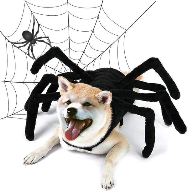 Halloween Edderkopphundkostyme for hunder og katter XL-FA-