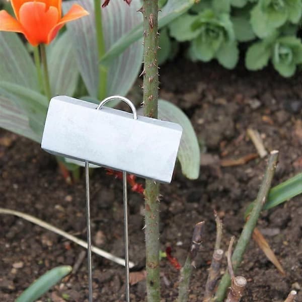 25-pack Metall Växtetiketter, Trädgårdsblommor Krukväxtskyltar, Vattentät Växtskylt
