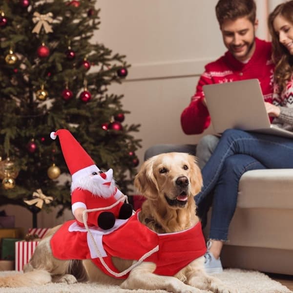 Kæledyrskostumer, julemandskostumer, jul, hundekostumer