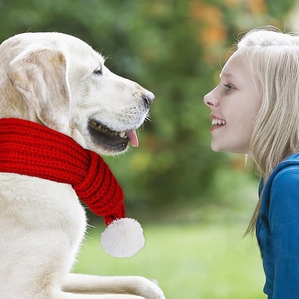 Julehalstørklæde til hund kat - Med hvid pompon - 70cm - Julehalstørklæde til hund - Julehalstørklæde til kat - Julehalstørklæde til kæledyr
