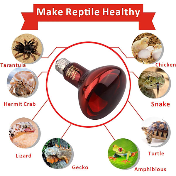 Reptil Heat Lamp Kit Värmelampa för Turtle Lizard Chick Snake Hamster