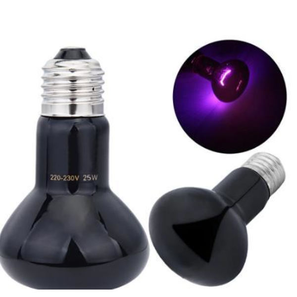 Reptil Heat Lamp Kit Värmelampa för Turtle Lizard Chick Snake Hamster