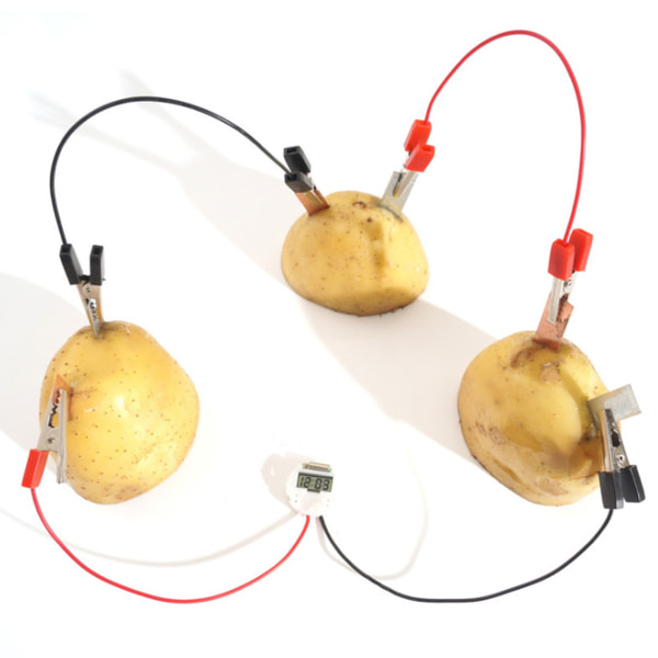 Bio Energy Science Kit Barn Pedagogisk Rolig Potatis