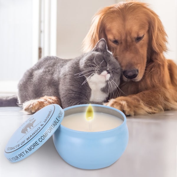 4st Bärbara Naturligt Sojavax Husdjur Aromaterapi Ljus Doftande