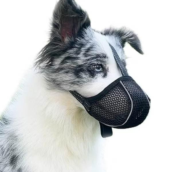 Justerbar hundemundkurv – åndbar og reflekterende sort L sort sort L Black L