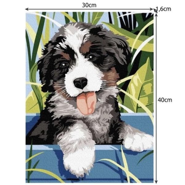 Måla efter nummer 40x30cm - Maaleo hund 22780