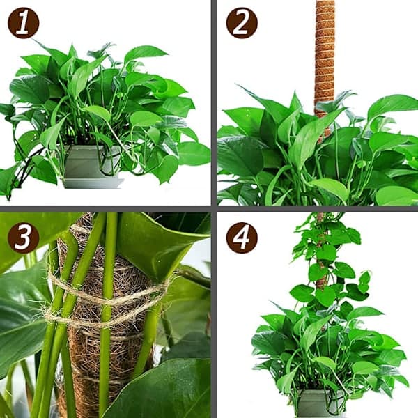 Mossstång Böjbar 70-100cm, Växtstöd / stödstång - Klätterväxter, 1 / 2-pack 1 st-80cm 1 st-80cm