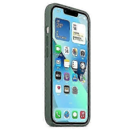 Silikondeksel med MagSafe for iPhone 13 Mini - Slankt, støtsikkert, beskyttende mobildeksel Eucalyptus Eucalyptus Eucalyptus
