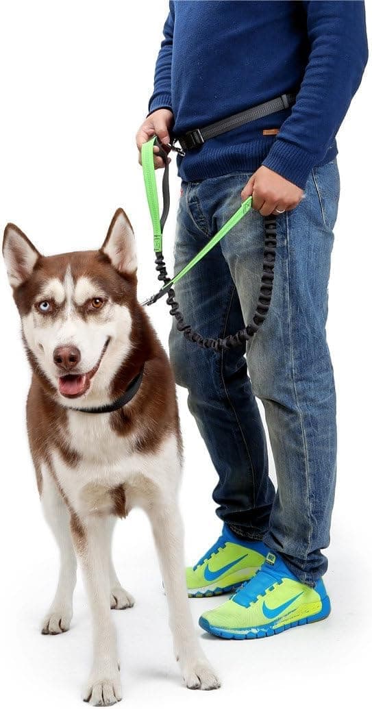 Hundkoppel med justerbart midjebälte, hundkoppel för löpning och jogging