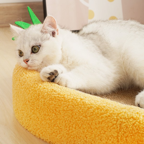 Pet Cat Scratcher Bowl Stor Diameter Integrert Design Robust Cat Scratching Pad Seng for hjemmet