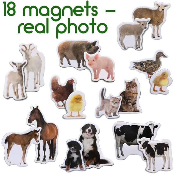 18 Baby och MUTTI BAUERNHOFDJERE Magneter för barn för magnetkort