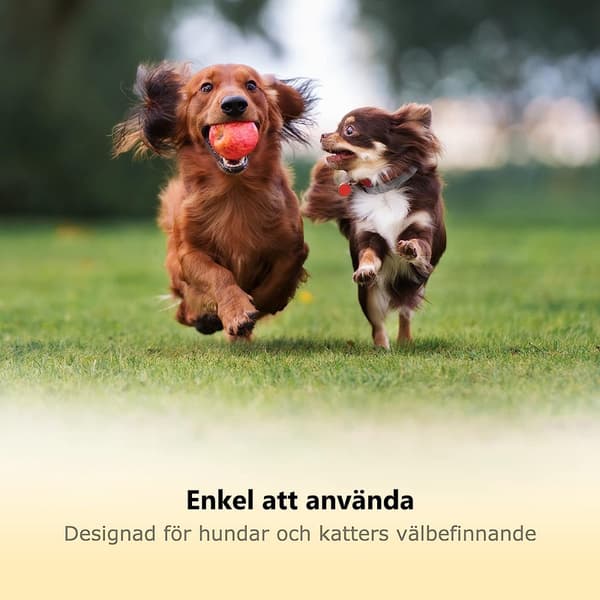 Nagelklippare för hund (Medium & Large, Yellow)