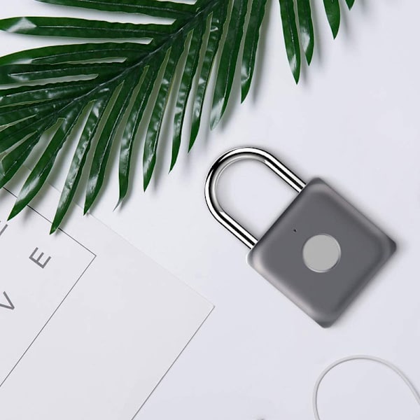 Fingeravtryckshänglås Mini Smart hänglås