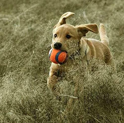 Dog ball, 2 pcs, Orange / Blue