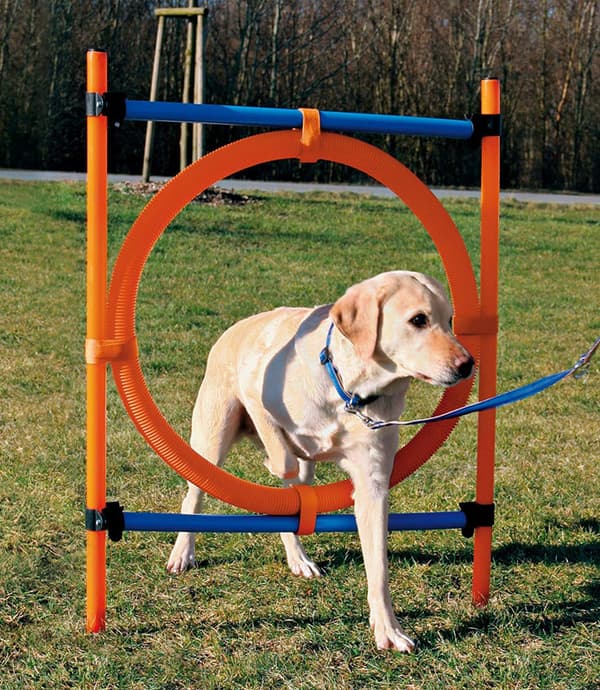 Hundaktivitet Agilityring Plast 115 × ø 3 cm ø 65 cm