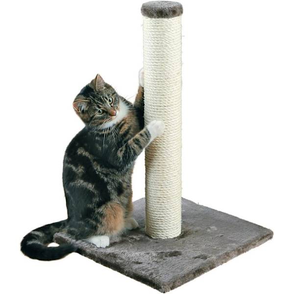 Skrapstolpe, Grå, 62 cm