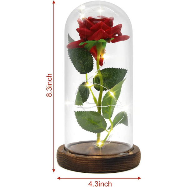 Skönheten och odjuret Rose i glaskupol LED-lju