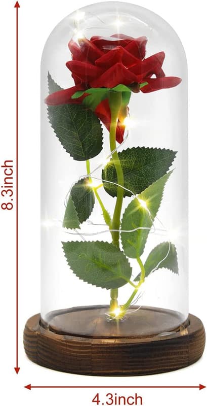 Skönheten och odjuret Rose i glaskupol LED-lju
