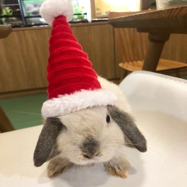 Lizard Santa Hat Rabbit withcarf jouluasu 02