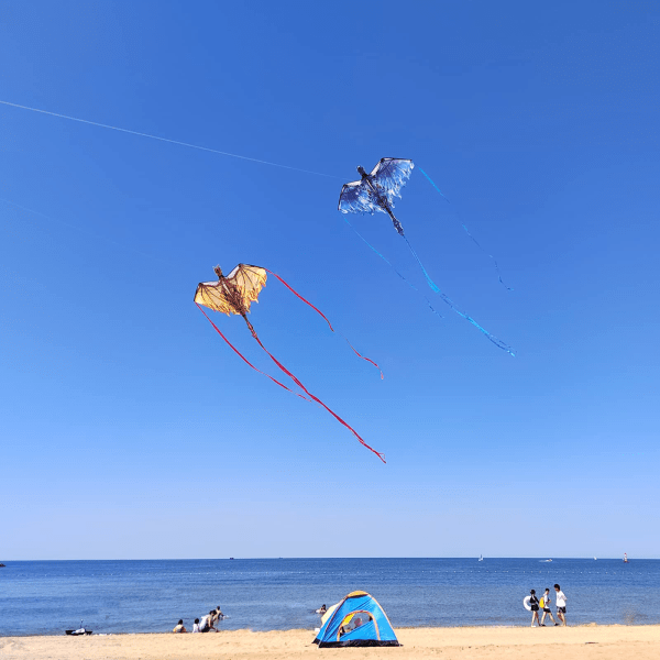 Dragon Kite lapsille ja aikuisille, helppo lennättää leija kerjääjälle