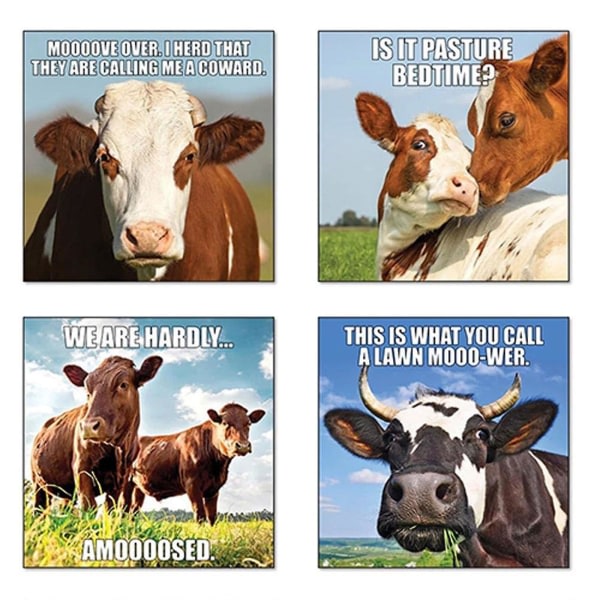 2024 Funny Animal Calendar Inspireret Farm Humor