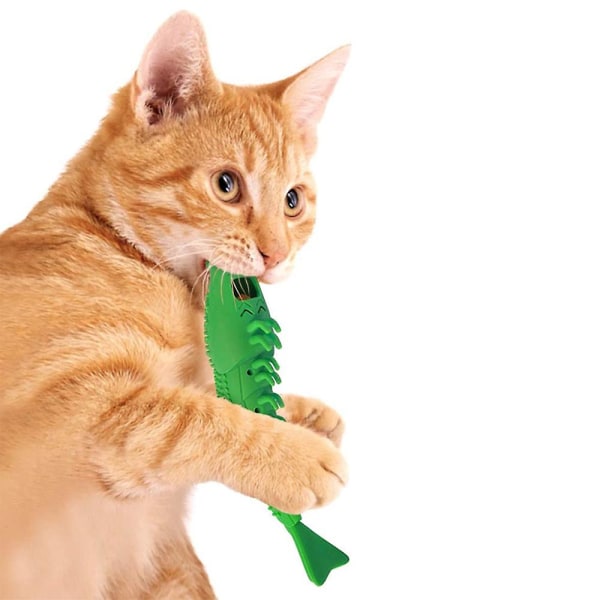 Interaktiiviset kissanlelut Kitten Catnip -hammasharja Chew T 98ff | Fyndiq