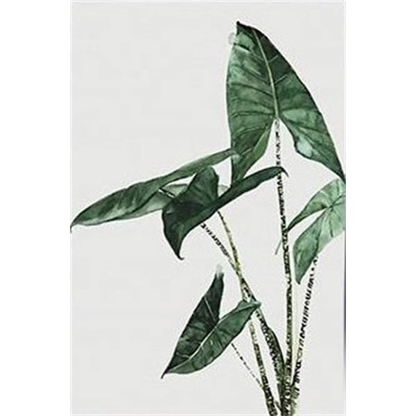 3 plakater, grønne planteblader, veggmalerier, moderne lerret