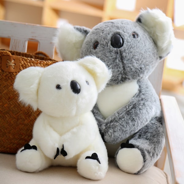 Koala Bear Koala et plys legetøj Dukke Køl Legetøj firma