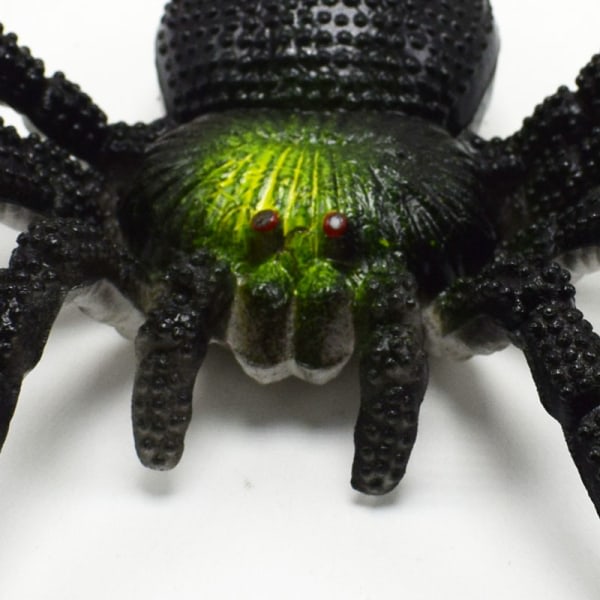 Färg mjukt självhäftande spindel, stor spindel, insektsmodell härva
