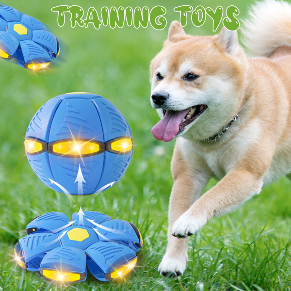 Hund studsande boll Leksak Stomp Pet Interactive Flying Discs Leksak med ljus för utomhusbruk Blå Inget ljus