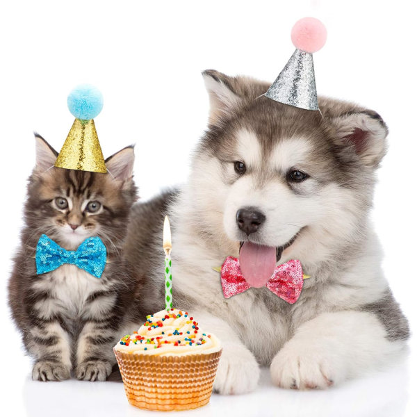 4 kpl kissan syntymäpäivähattu ja rusetti Söpö, uudelleenkäytettävä lemmikkikoiran päähine, säädettävä ja kaulapantainen koiran pääpanta kissalle