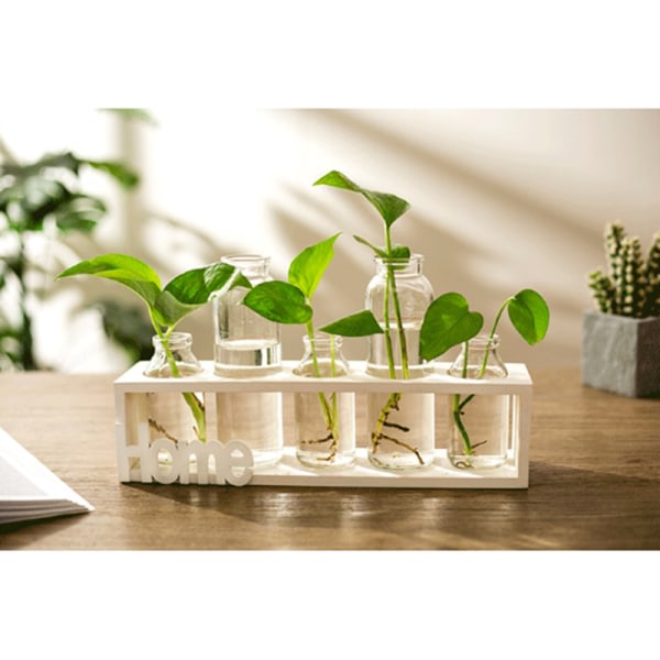 Hydroponisk glasflaska Transparent Blomvas Trä Stöd Bordsskiva Creative Home Garden Cafe Room 5 hål