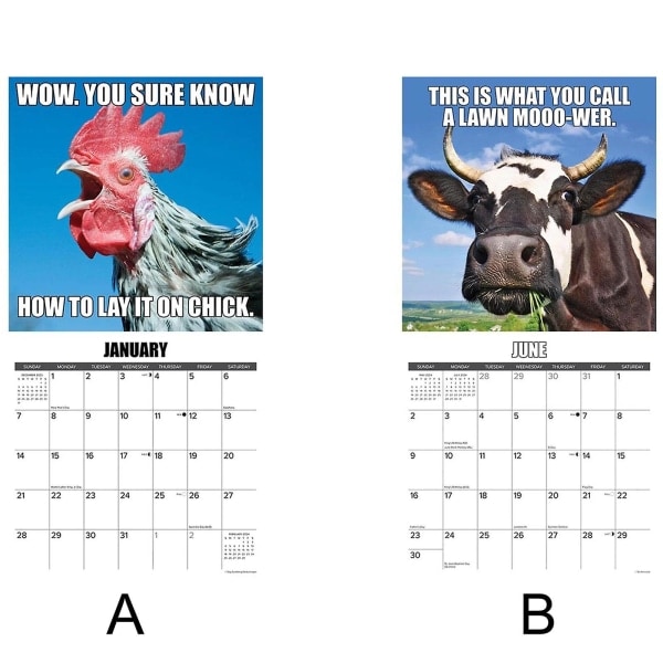 Vuoden 2024 hauska eläinkalenteri inspiroi maatilahuumoria