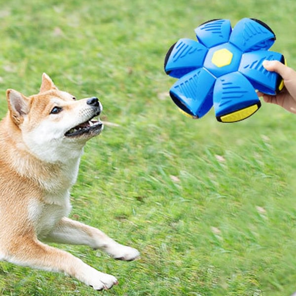Hund studsande boll Leksak Stomp Pet Interactive Flying Discs Leksak med ljus för utomhusbruk Blå Inget ljus
