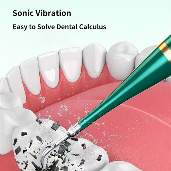 Smart Sonic Dental Scaler Elektriska tandborstar USB Uppladdningsbara Vuxna Tandborste Dental Calculus Remover Tips Tandborsthuvuden