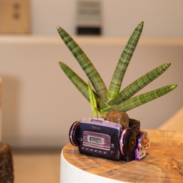 Kreativ blomkruka Retro Walkman Headset Design Suckulent Bonsai Växthållare Skrivbord Mini Kruka Ornament For Hem Bord Lila