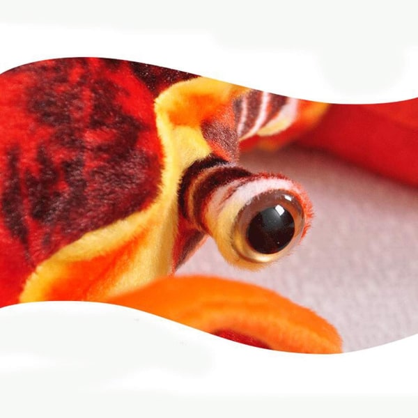 Realistisk udstoppet hummer søde dukker Plys dyrelegetøj rød 12 tommer