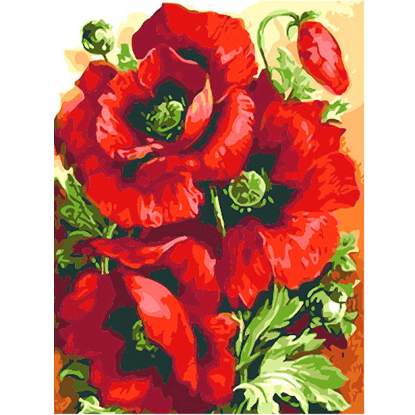 30X40cm Timanttimaalaus Red Poppy Picture Käsityötä Full Run