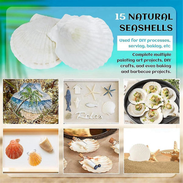 15 st naturliga snäckskal, vitt, 4-4,7 tums pilgrimsmusslor som är kompatibla med gör-det-själv hantverk, servering av mat, bakning och M-ES