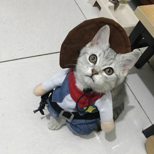 Juldräkter för hund eller katt Cowboy med hatt