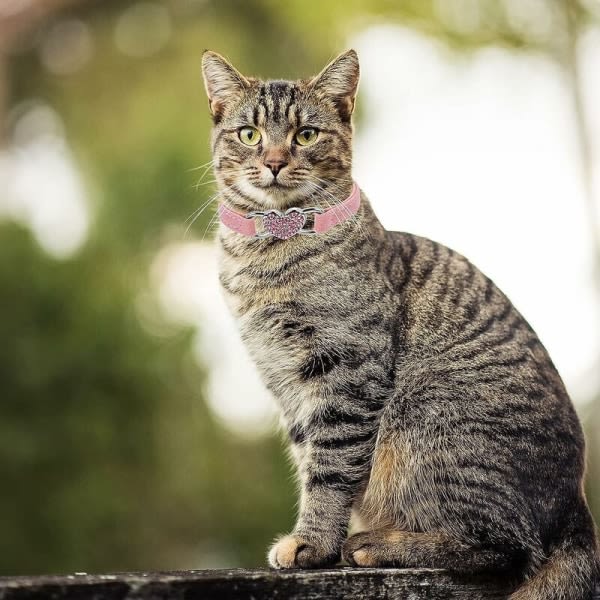Hjärtformat katthalsband med klocka, justerbart katthalsband med sikkerhedsbälte, rhinestone djurhalsband for små katte (rosa) - MODOU