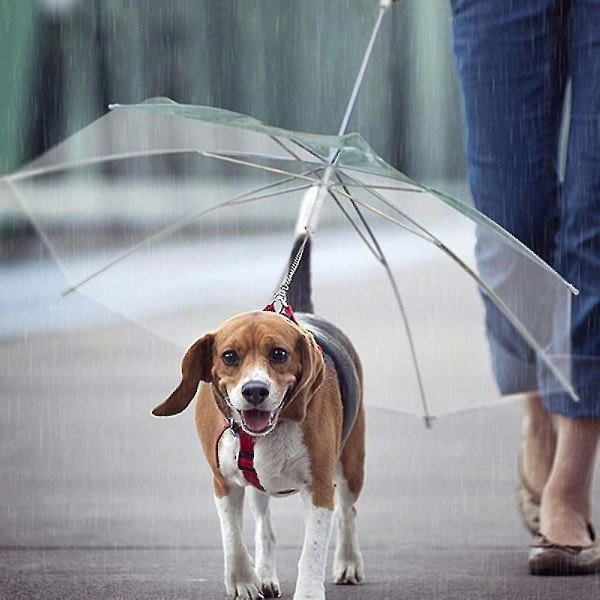 Lemmikkien sateenvarjo hihnalla pienille ja keskikokoisille koirille