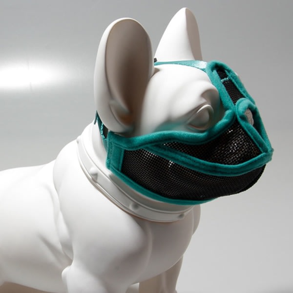 Hundens nosparti med kort näsa Justerbart Mjukt ventilerande nät för att bita och tugga skalle Träning Grön S