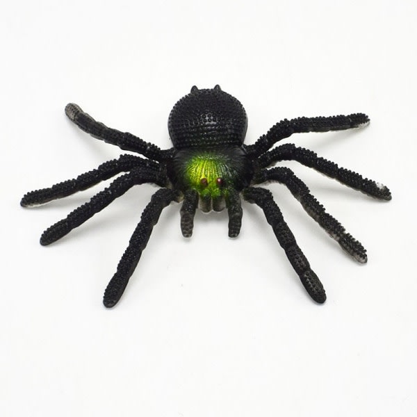 Farve blød klæbende edderkop, stor edderkop, insekt model virvare