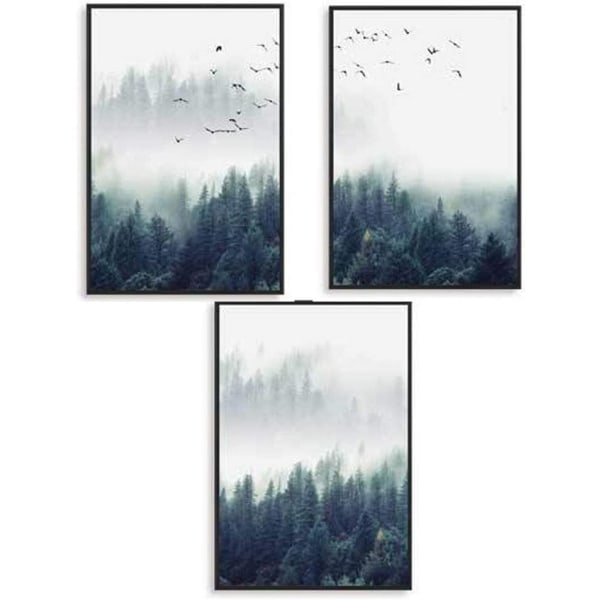 Set of 3 design posters, murals, forest and birds in the mis