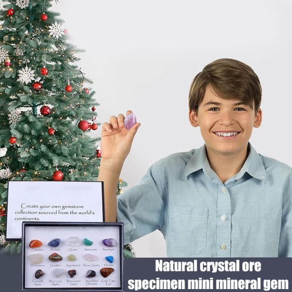 Naturlig kristallmalm Prov Multipurpose Mini Gem Collections Science Teaching Leksaker for pojkar Flickor Boxed