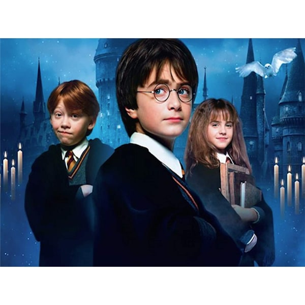5D Diamantmålningssats för Harry Potter-tema 40x30cm, DIY